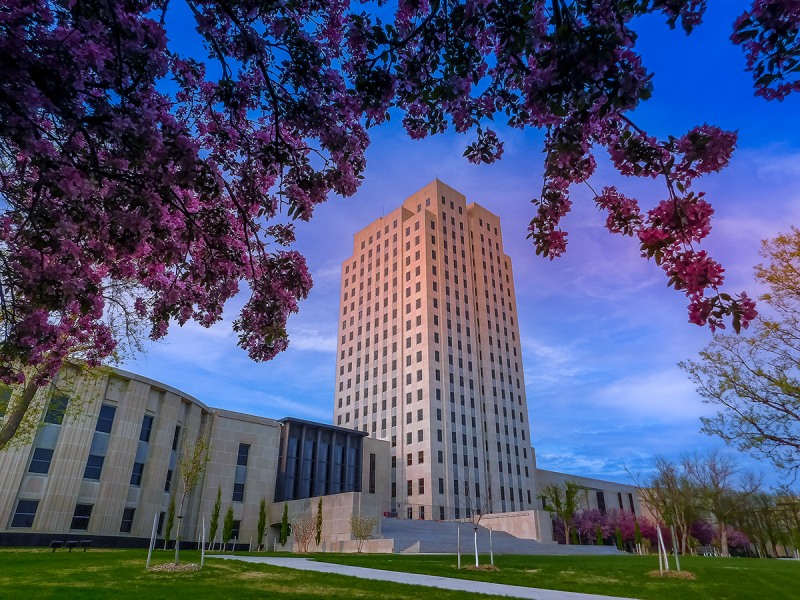 2024 Governor's Photo Contest Spring Category Winner "Blossoms in May" by photographer Paulette Bullinger, showing the North Dakota Capitol on a sunny May day, with a canopy of cherry blossoms framing the top and sides